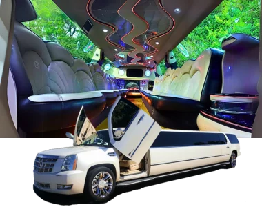 Cadillac Escalade Luxury Butterfly Door