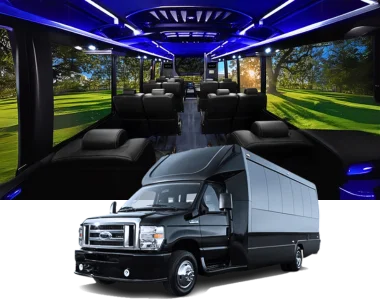 Ford Super Duty F-250 Platinum